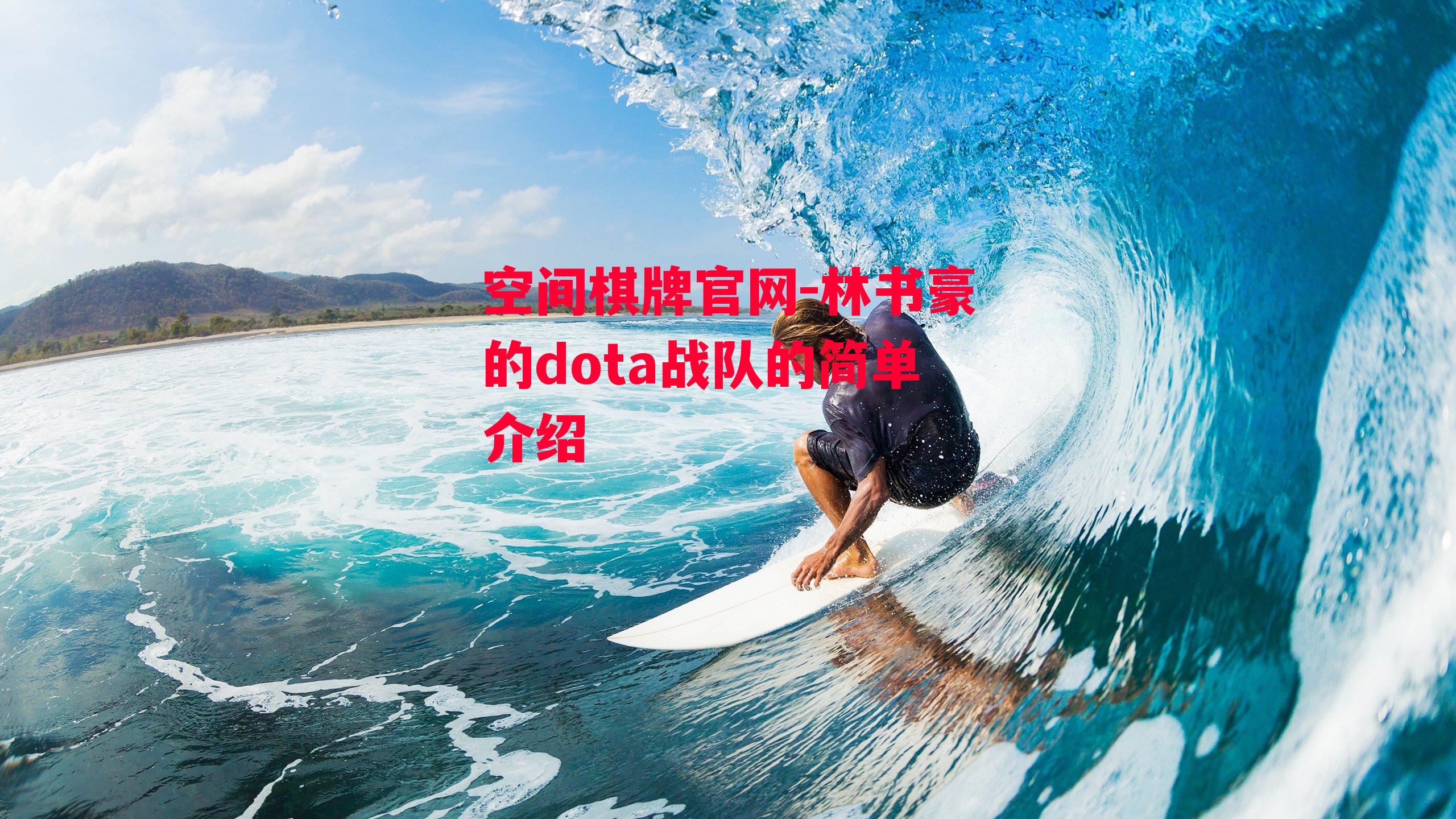 林书豪的dota战队的简单介绍