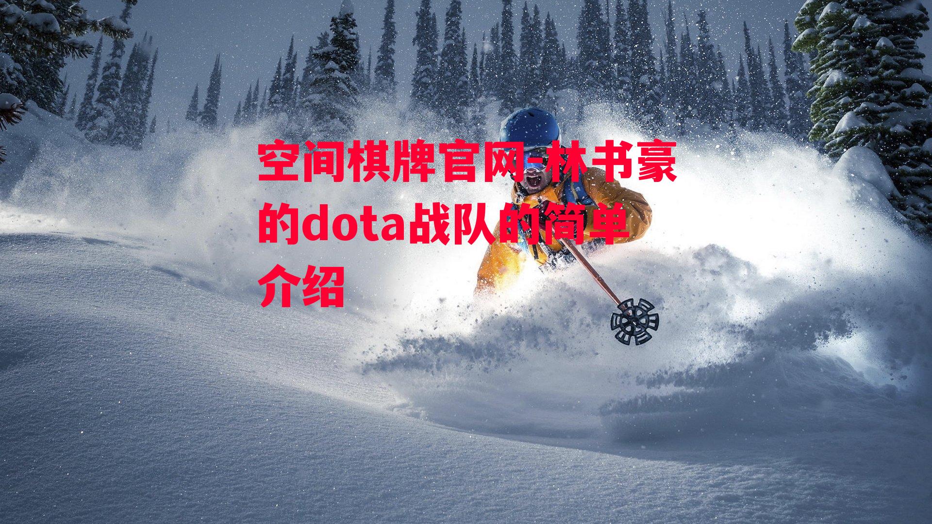 林书豪的dota战队的简单介绍